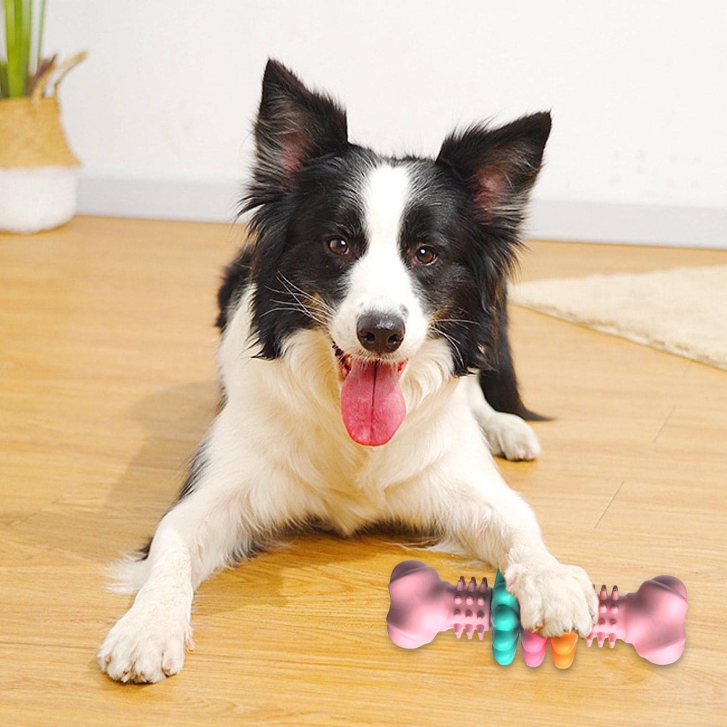 Chewy Pet Toy Bone