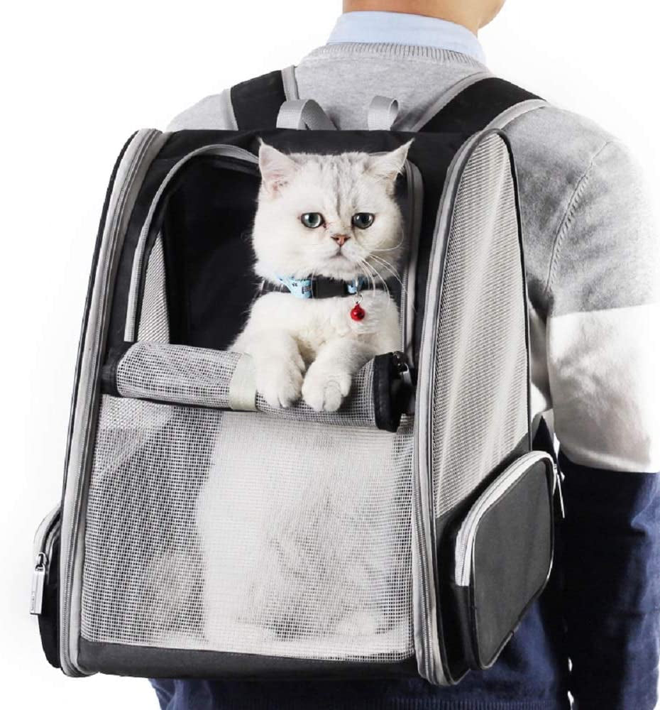 Texsens Innovative Bubble Backpack Pet Carrier for Cats and Dogs - Black