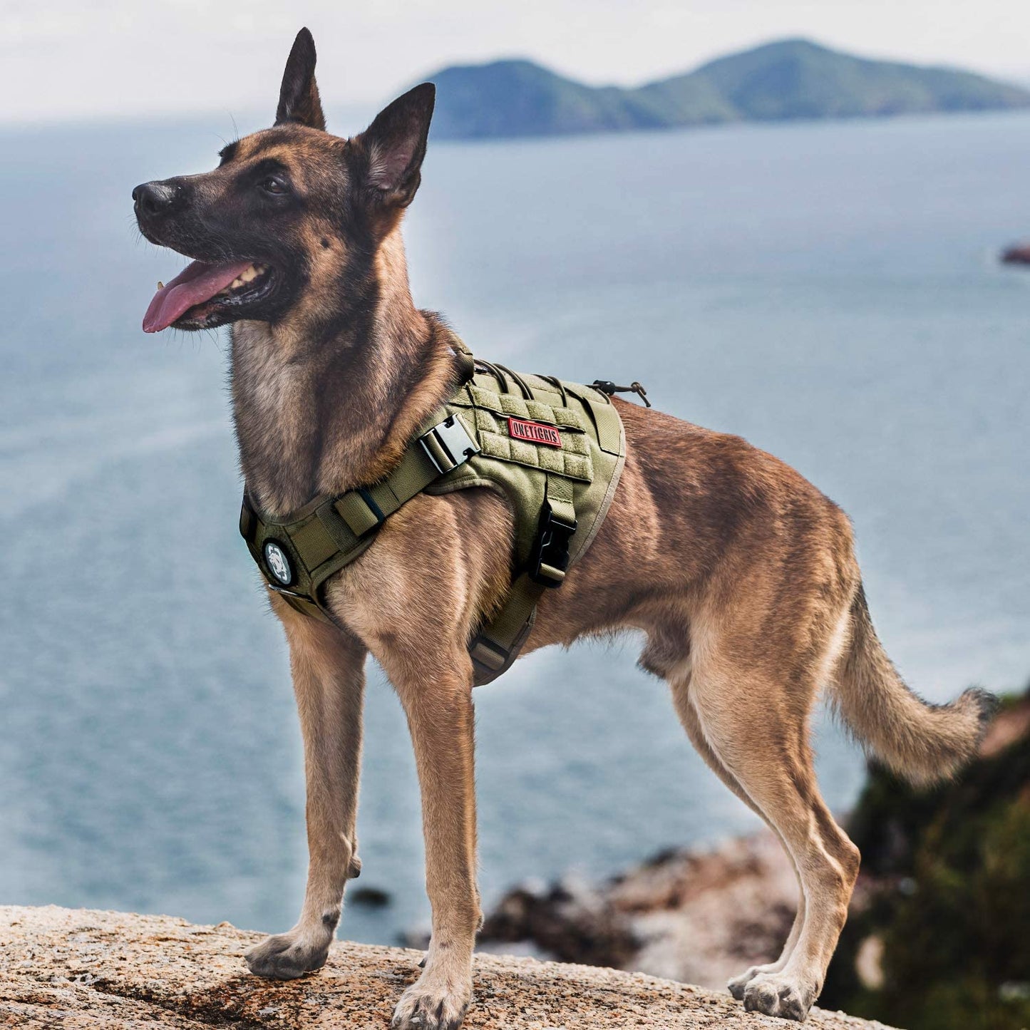 Onetigris Dog Harness, Tactical Dog Harness No-Pull Breathable Adjustable Pet Vest with Handle for Outdoor Walking(Ranger Green,Small)